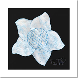 Teal or Turquoise Flower Posters and Art